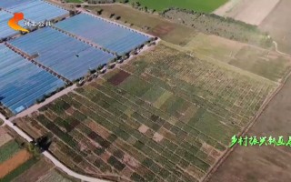 四川亭江科技 马尾亭江镇：“一心二轴”精描乡村振兴画卷