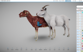 动物三维解剖软件下载 动物3d虚拟解剖教学软件的优点有哪些呢？