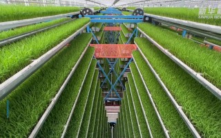 源农评科技 五大黑科技赋能农业，生产效率提升300%的秘诀在这里！