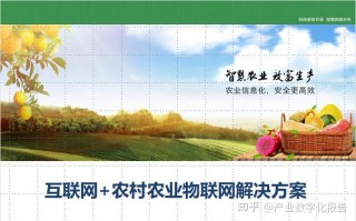 东莞市浩阳科技 陶祥详解互联网下的农产品交易信息平台