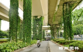 柳州科技园 柳州市园林科技园生态效应显现了！