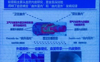 三宝通科技 防治心脑疾病“硬核”成果获国家科技进步一等奖