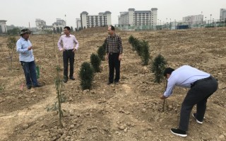 河南科技大学林学院 一键种养 增产增收