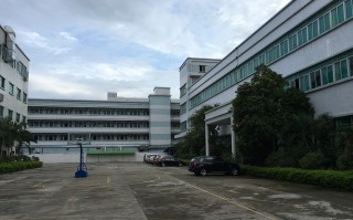 创音电声科技有限公司 几微米的乳酸菌菌株，何以成为中国“反卡脖子”的底气？