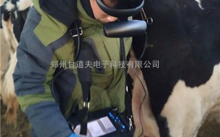 孕龙科技 围着“牛腚”打转，被千万粉丝催更的“龙兽医”