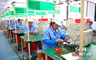 农业与科技数码 江华：边建设边投产 项目建设“开门红”