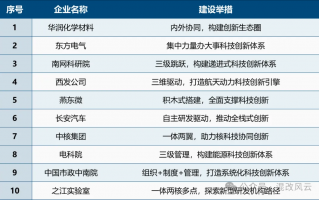 国企科技委 以全球视野观国企科技创新：经验，挑战及应对策略