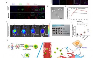 炎氏科技 免疫重塑，顺气自然，齐鲁制药一重磅产品荣耀回归