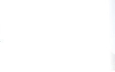 凯迪生态环境科技股份有限公司 凯迪生态破产重整草案被指“坑”太多 债权人细数其中隐患