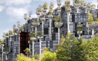 上海树实科技 重整计划悬空 有棵树控制权上演“罗生门”