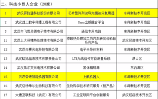 三雷科技 湖北第二批支柱产业细分领域隐形冠军企业名单出炉